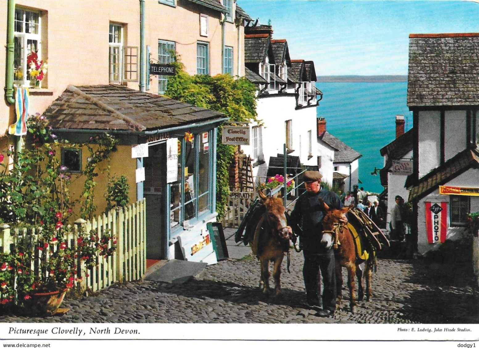 CLOVELLY, NORTH DEVON, ENGLAND. UNUSED POSTCARD   Zf1 - Clovelly