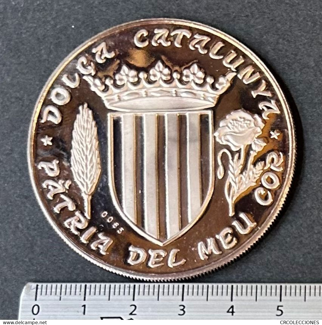 CREXP317 CARTERA CON MEDALLA CATALUÑA 40 GRAMOS PROOF - Profesionales/De Sociedad