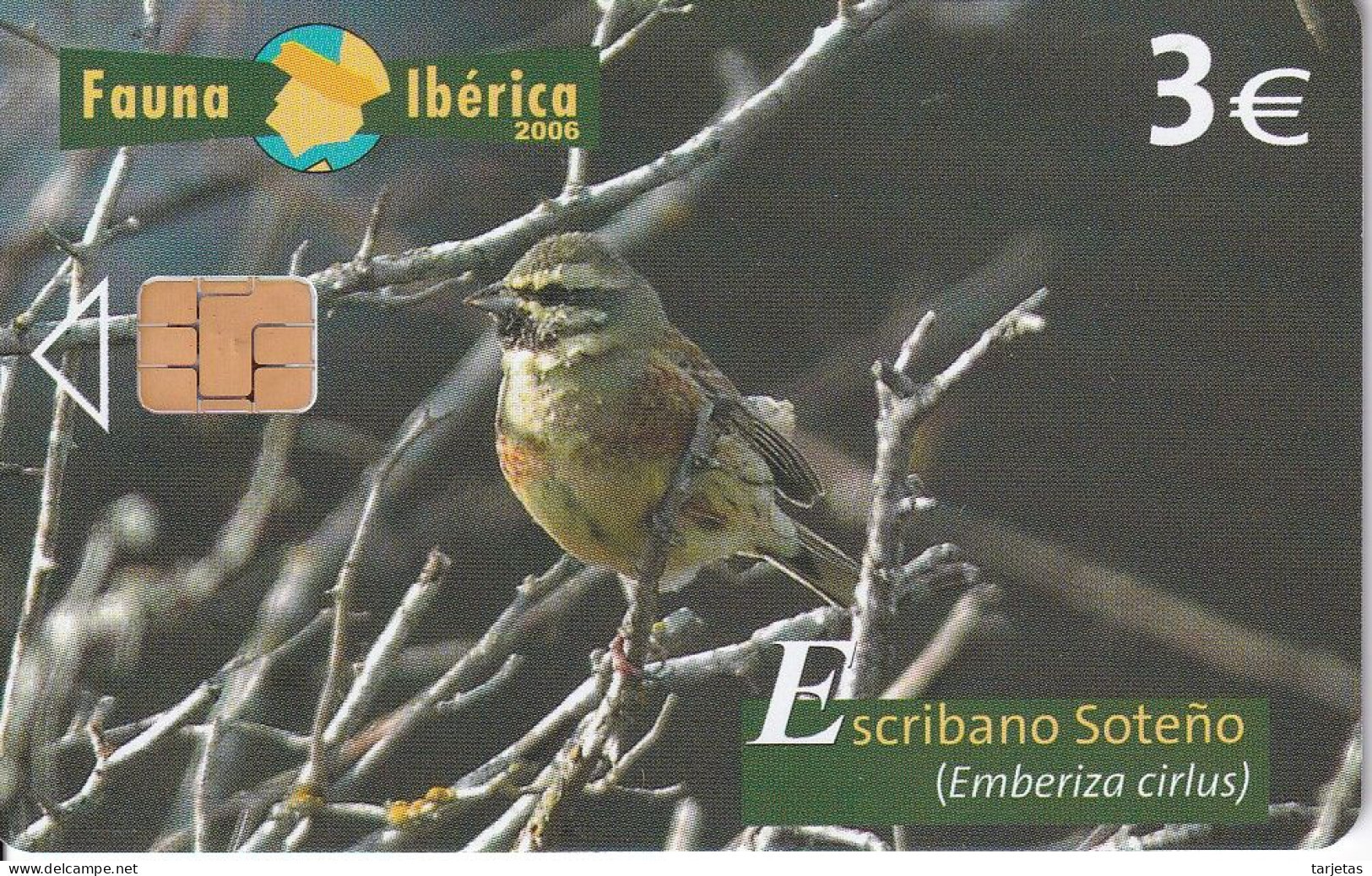 P-594 TARJETA DE ESPAÑA DEL ESCRIBANO SOTEÑO FAUNA IBERICA (BIRD-PAJARO) - Emissioni Private