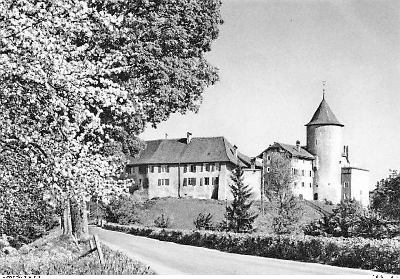 Château D'Echallens  (10x15cm) - Échallens