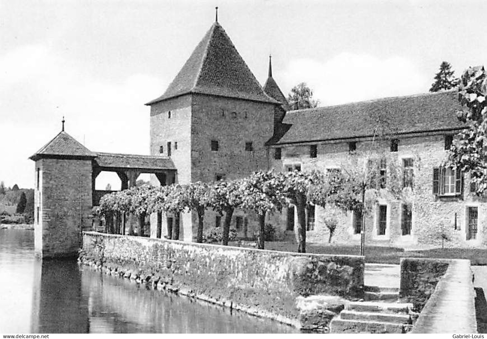 Château De Rolle    (10x15cm) - Rolle
