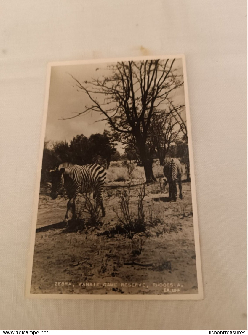 ANTIQUE POSTCARD RHODESIA ZIMBABWE - ZEBRA, WANKIE GAME RESERVE UNUSED - Simbabwe