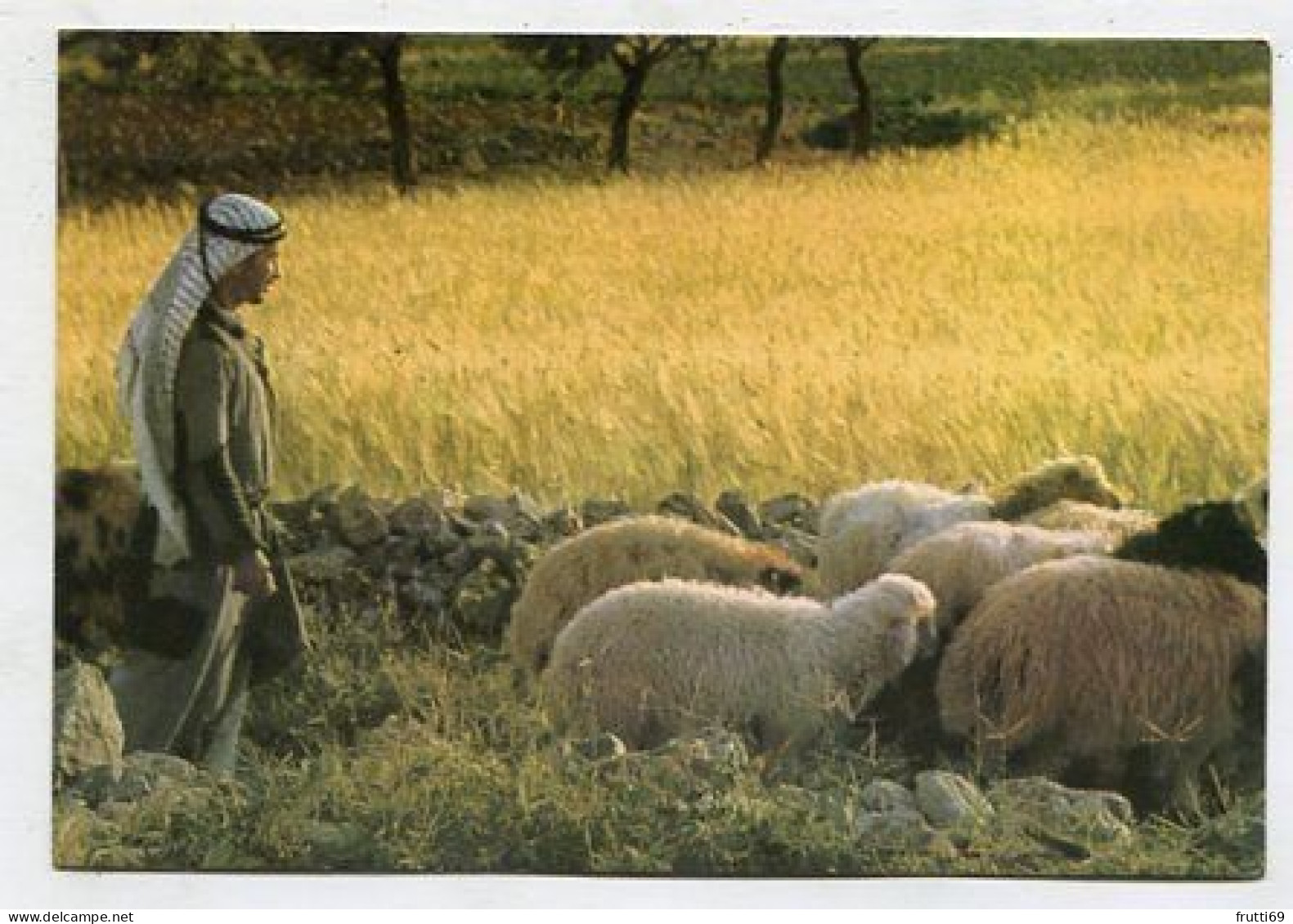 AK 160904 PALESTINE - Bethlehem - Shepherd's Field - Palestine
