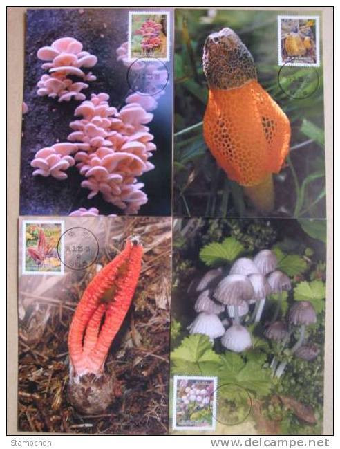 Maxi Cards Taiwan 2010 Wild Mushrooms Stamps (I) Mushroom Fungi Flora Bamboo Edible - Maximum Cards