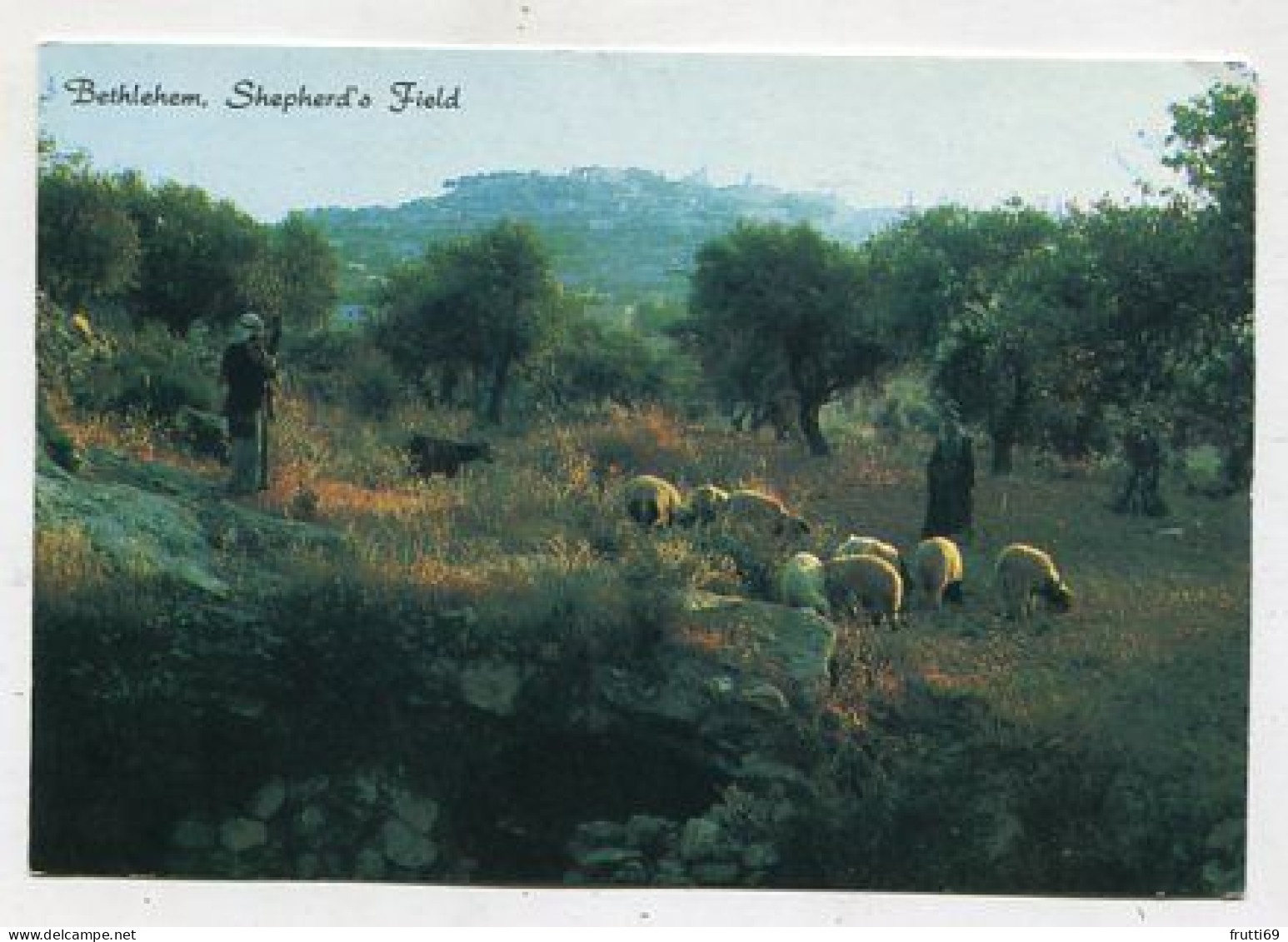 AK 160906 PALESTINE - Bethlehem - Shepherd's Field - Palestine