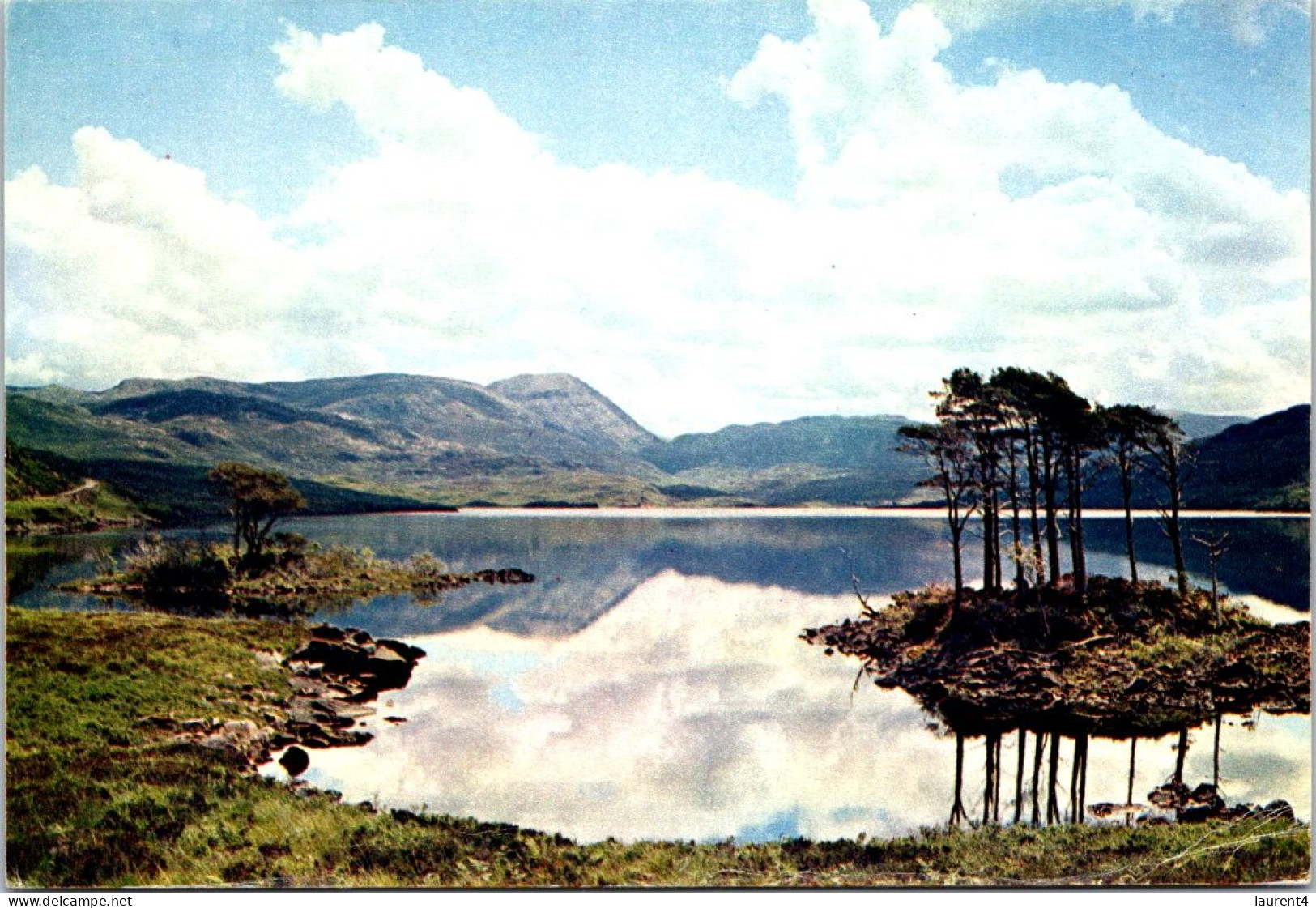 7-9-2023 (4 T 30) UK - Scoltand - Loch Assynt (Sutherlands) - Sutherland