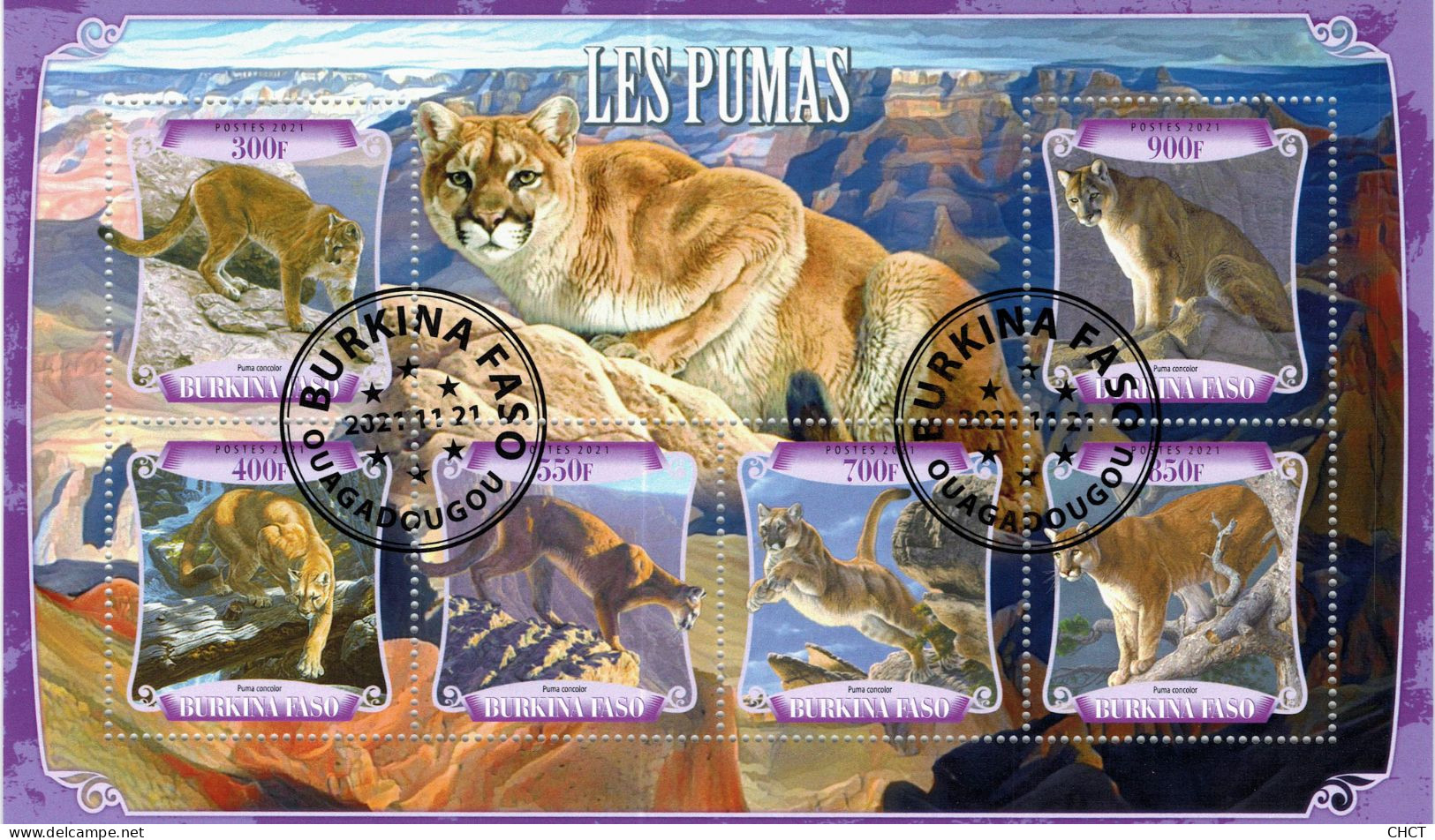 CHCT25 - Pumas, Fauna, Stamp Mini Sheet, Used CTO, 2021, Burkina Faso - Burkina Faso (1984-...)