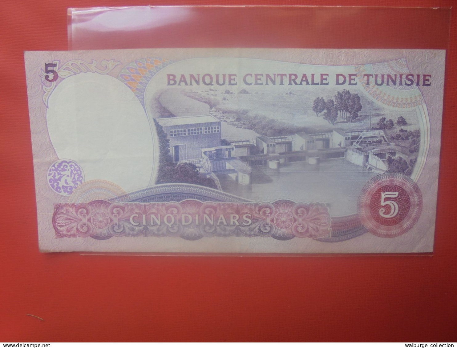 TUNISIE 5 DINARS 1983 Circuler (B.30) - Tunisia