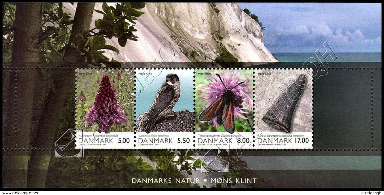 [Q] Danimarca / Denmark 2009: Foglietto Natura Di Møns Klint / Møns Klint Nature S/S ** - Blocs-feuillets