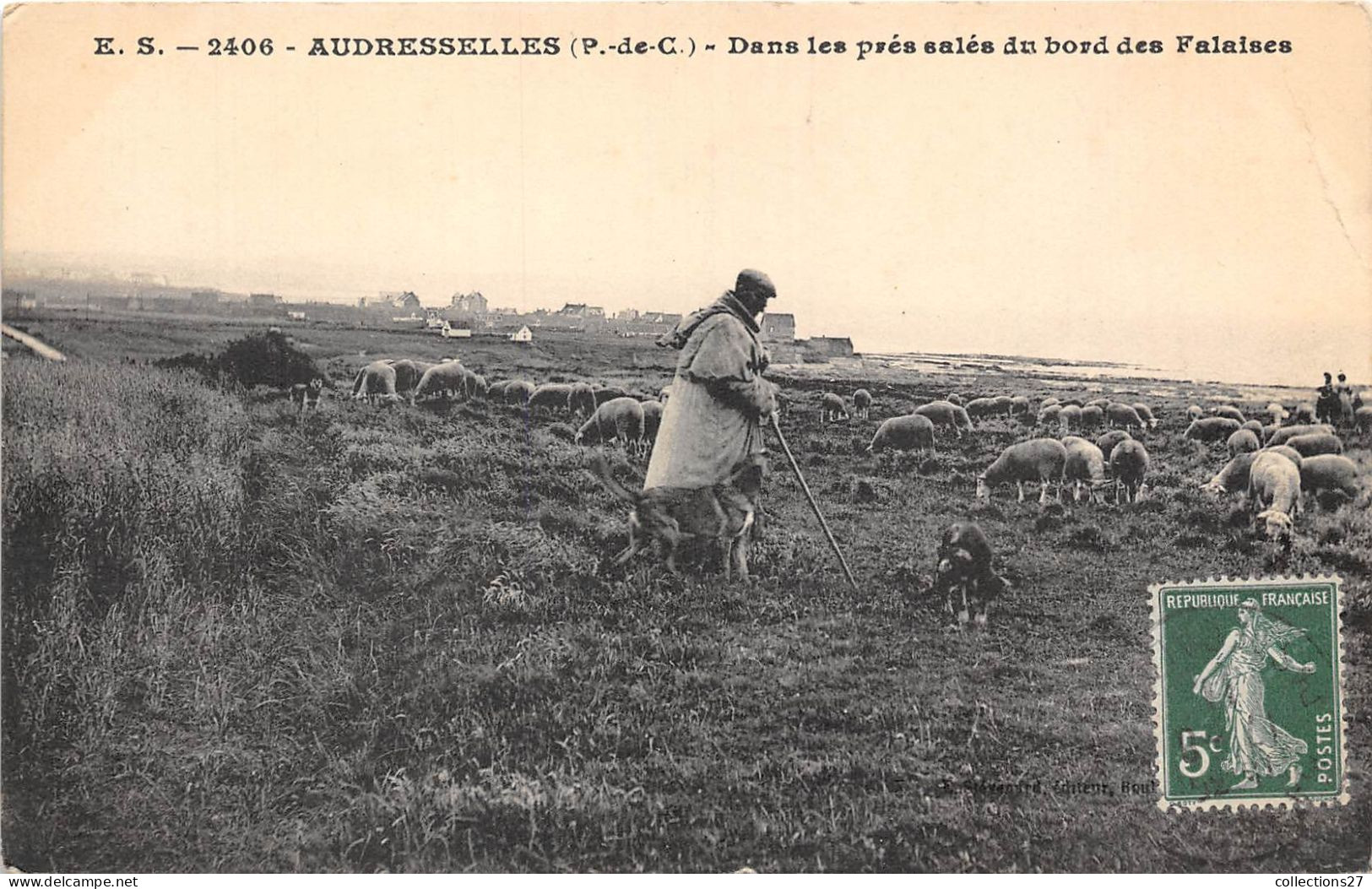 62-AUDRESSELLES- DANS LES PRES DU BORD DES FALAISES - Autres & Non Classés