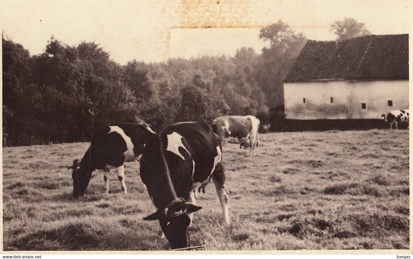 Carte Postale Ferme Neder Over Heembeek Humbeek ? à Situer - Grimbergen