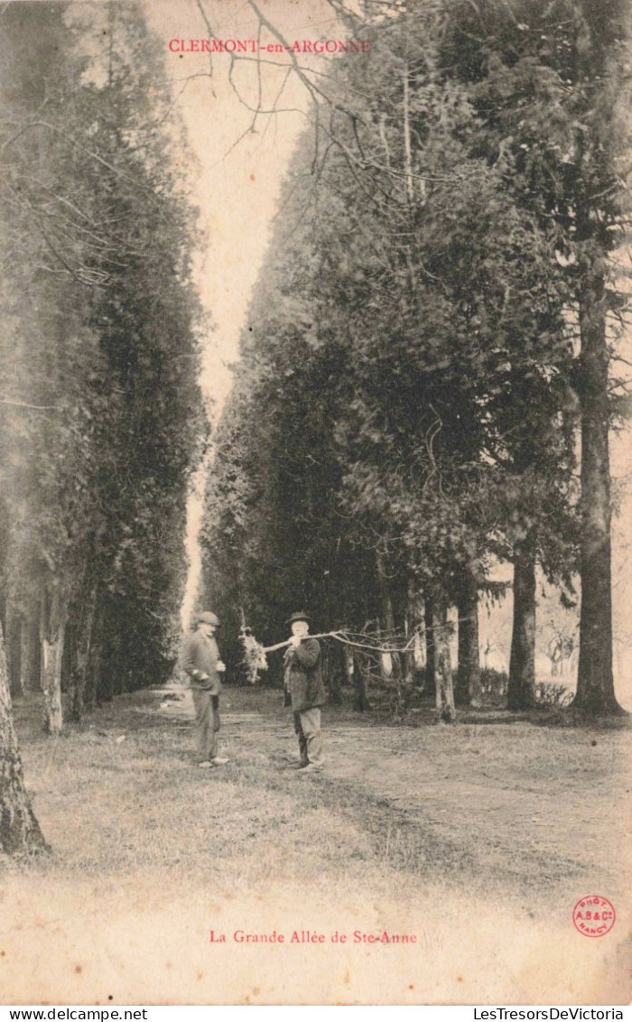 FRANCE - Meuse - Verdun - Clermont En Argonne - La Grande Allée De Ste Anne - Carte Postale Ancienne - Verdun