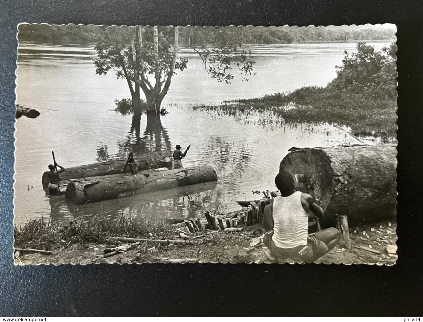 SP CPA GABON / EXPLOITATION FORESTIERE MISE A L'EAU DES GRUMES / SANS CORRESPONDANCE - Briefe U. Dokumente