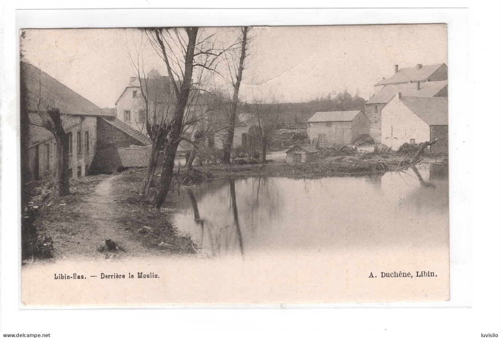 Libin Bas Derrière Le Moulin - Libin