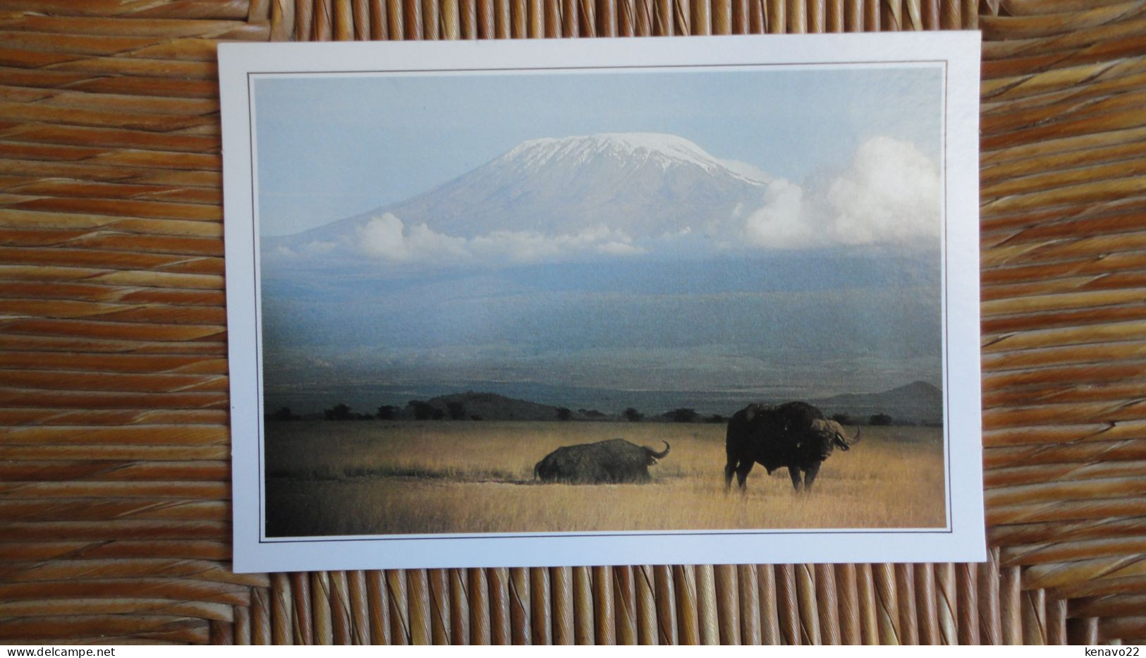 Kenya , Amboseli Et Le Kilimandjaro - Kenya