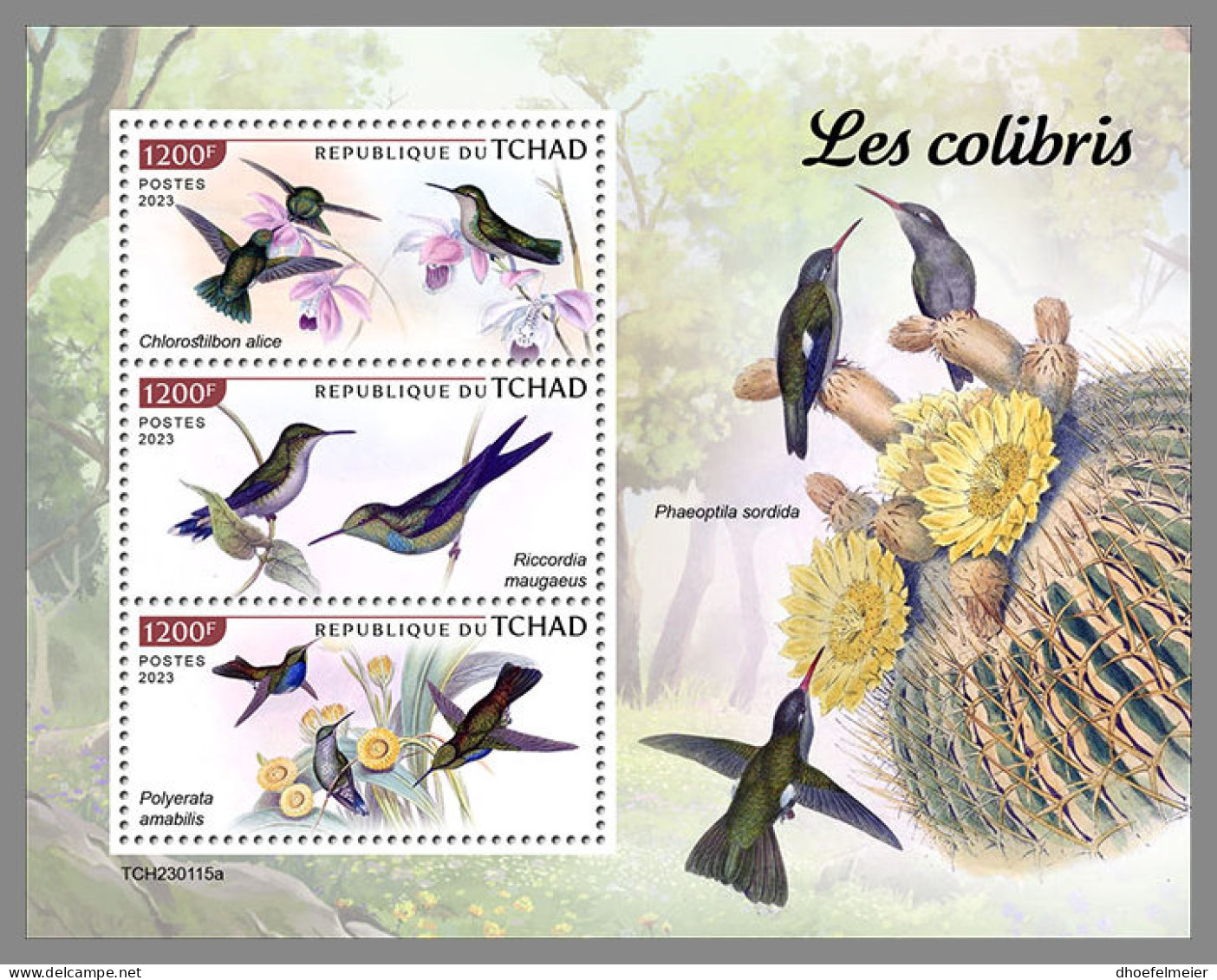 CHAD 2023 MNH Hummingbirds Kolibris Colibris M/S - OFFICIAL ISSUE - DHQ2336 - Colibris