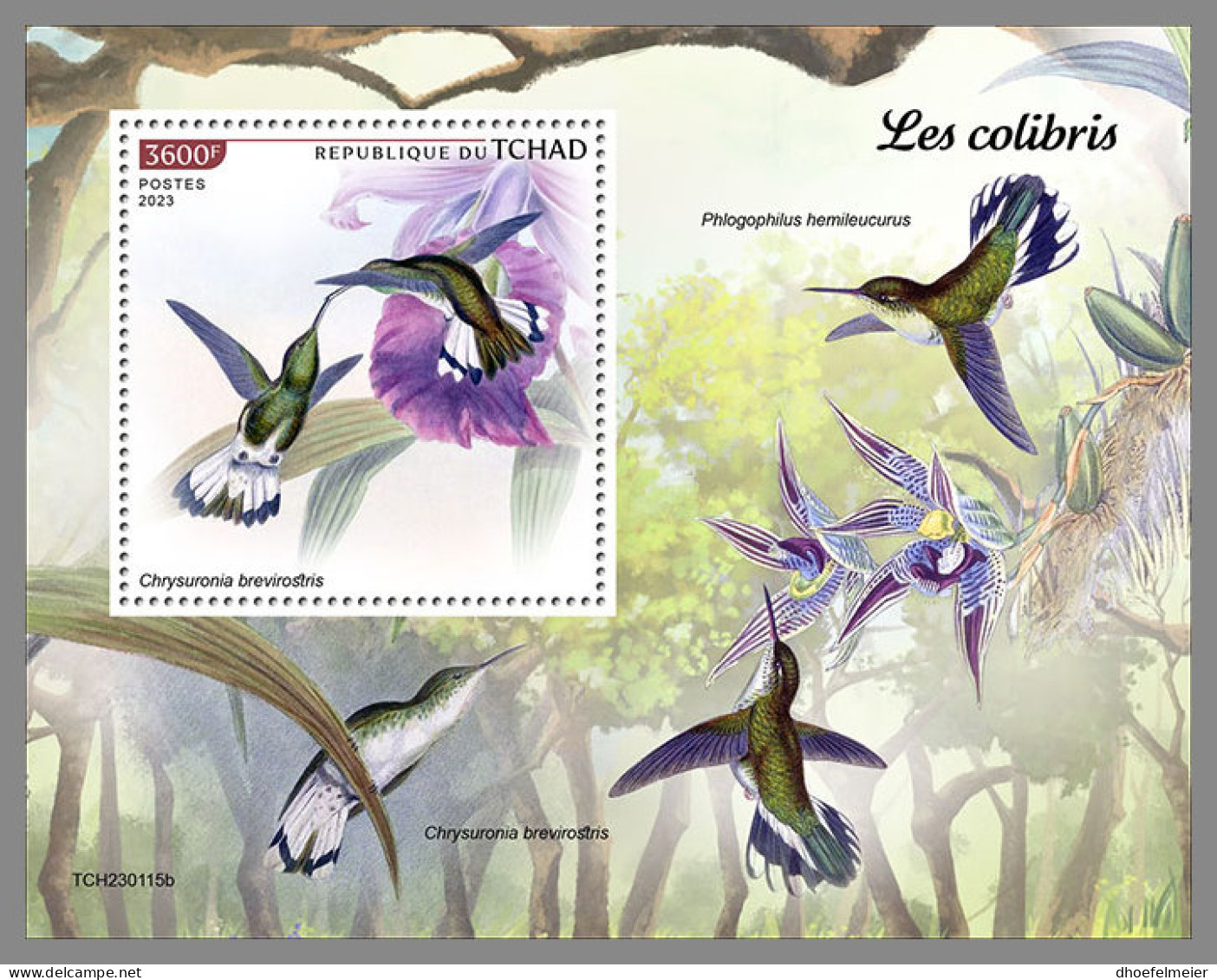 CHAD 2023 MNH Hummingbirds Kolibris Colibris S/S - OFFICIAL ISSUE - DHQ2336 - Hummingbirds