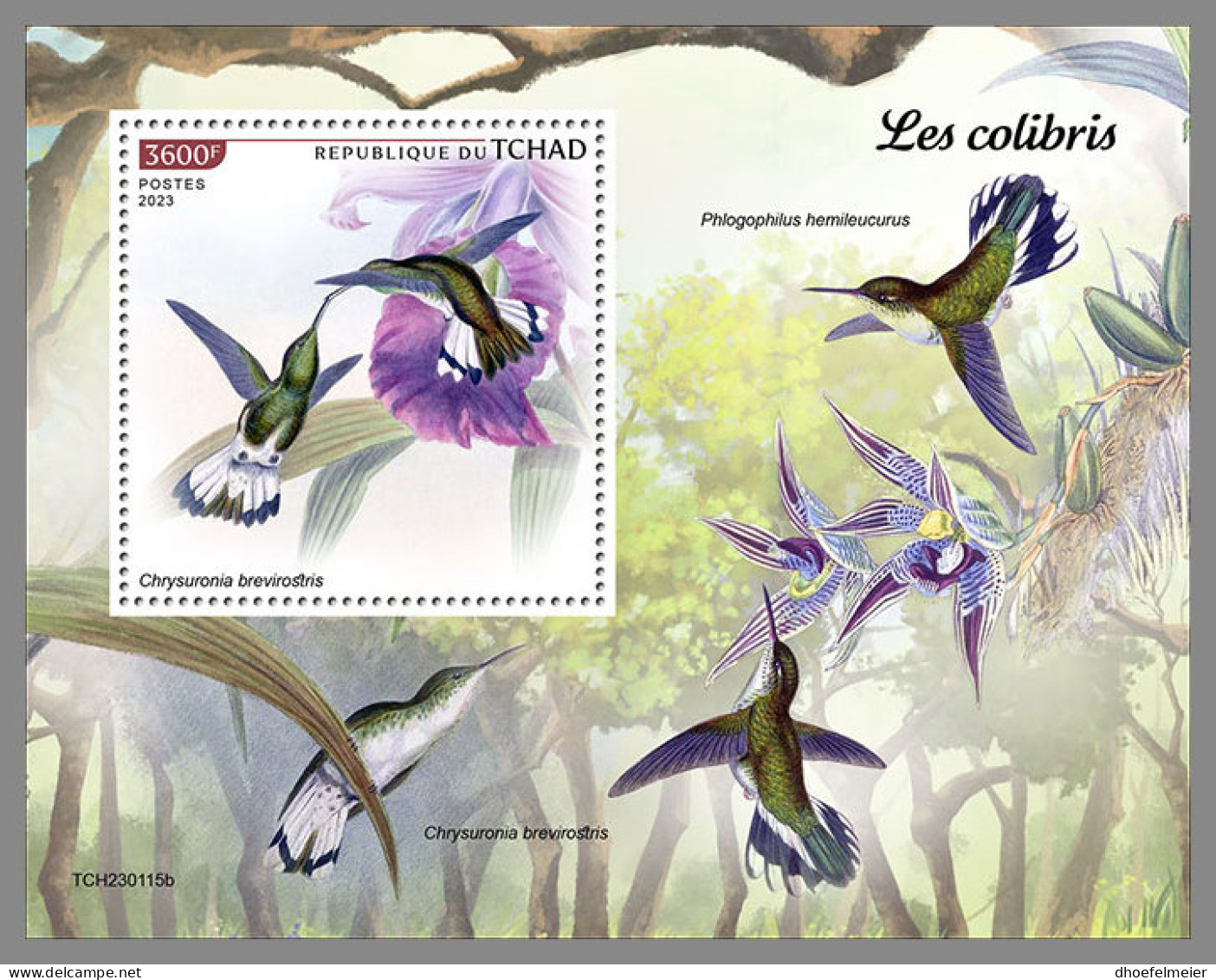CHAD 2023 MNH Hummingbirds Kolibris Colibris S/S - IMPERFORATED - DHQ2336 - Colibris