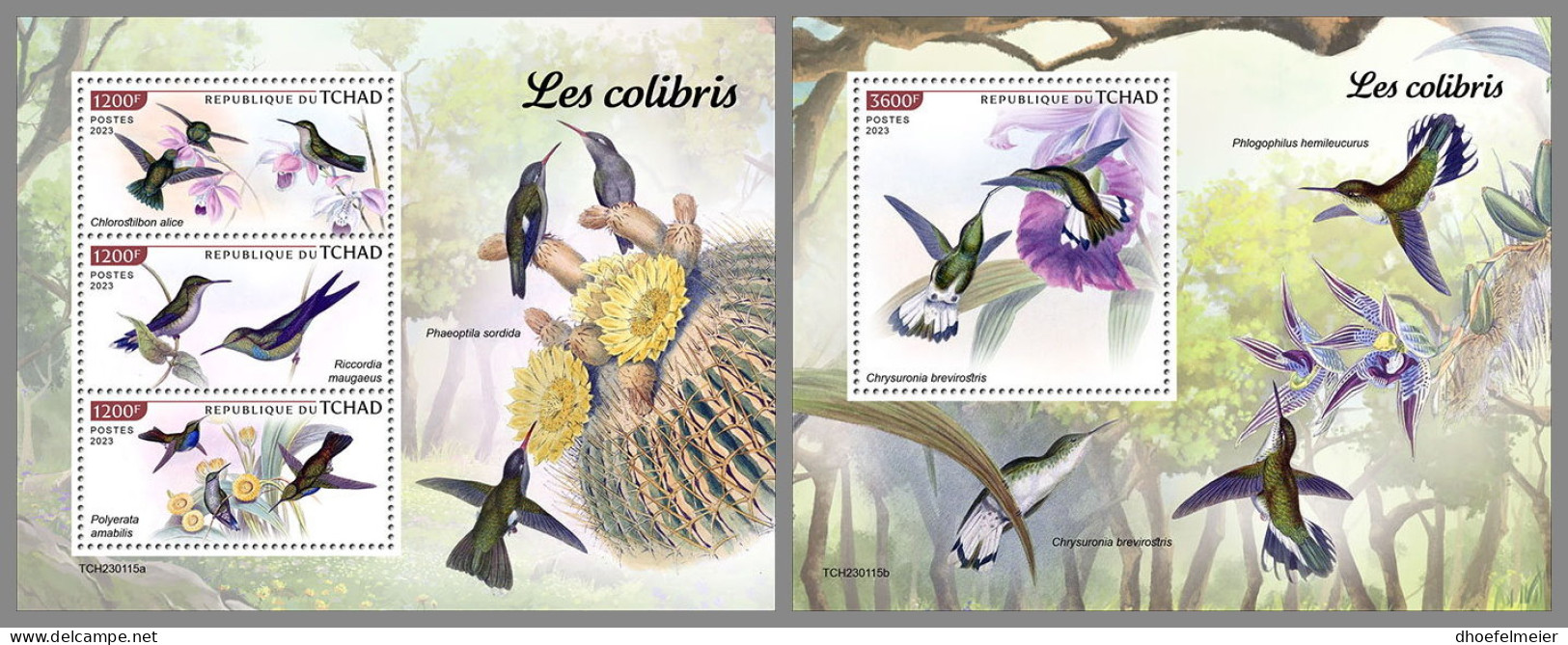 CHAD 2023 MNH Hummingbirds Kolibris Colibris M/S+S/S - IMPERFORATED - DHQ2336 - Segler & Kolibris