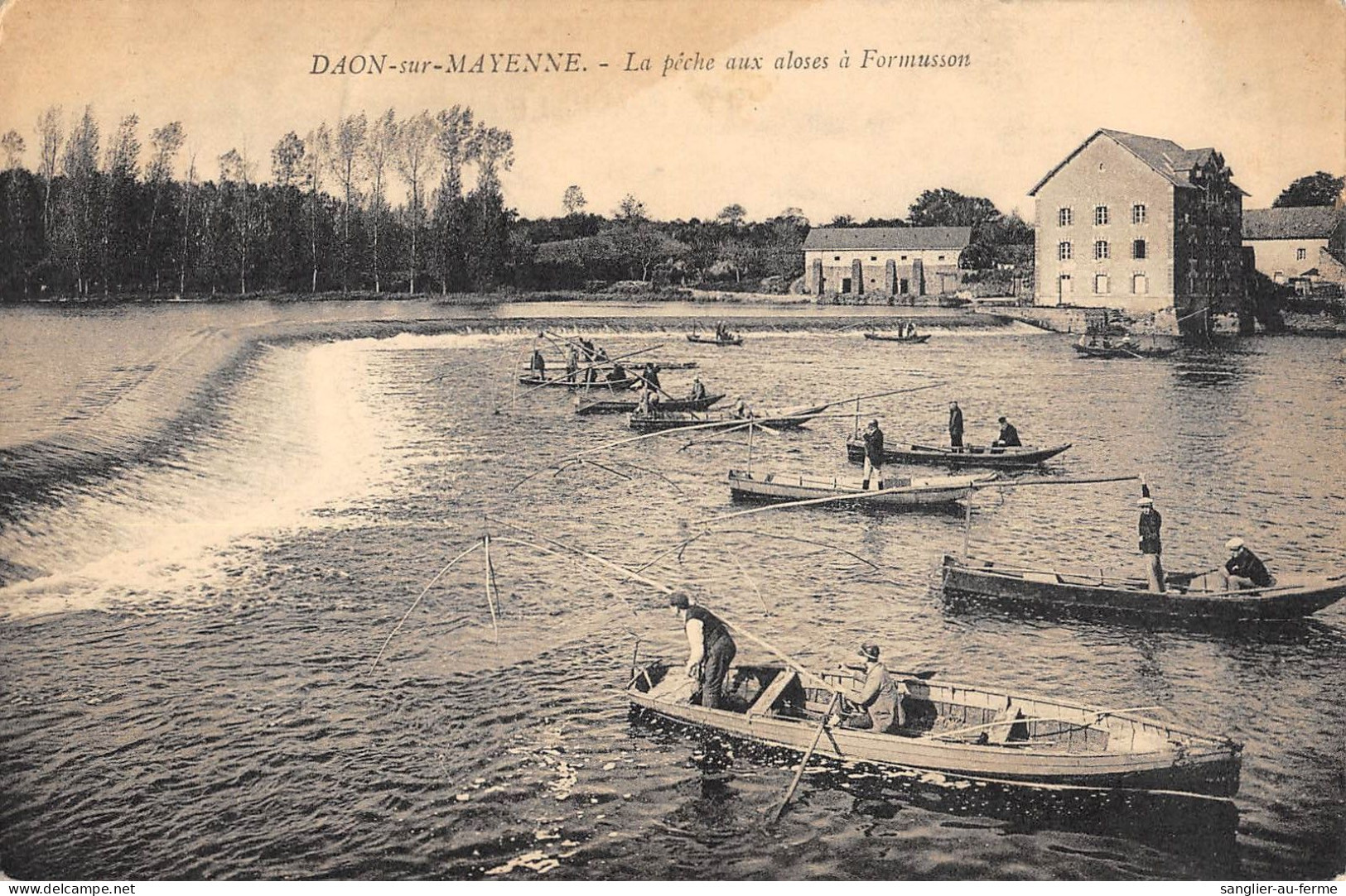 CPA 53 DAON LA MAYENNE / LA PECHE AUX ALOSES A FORMUSSON - Autres & Non Classés