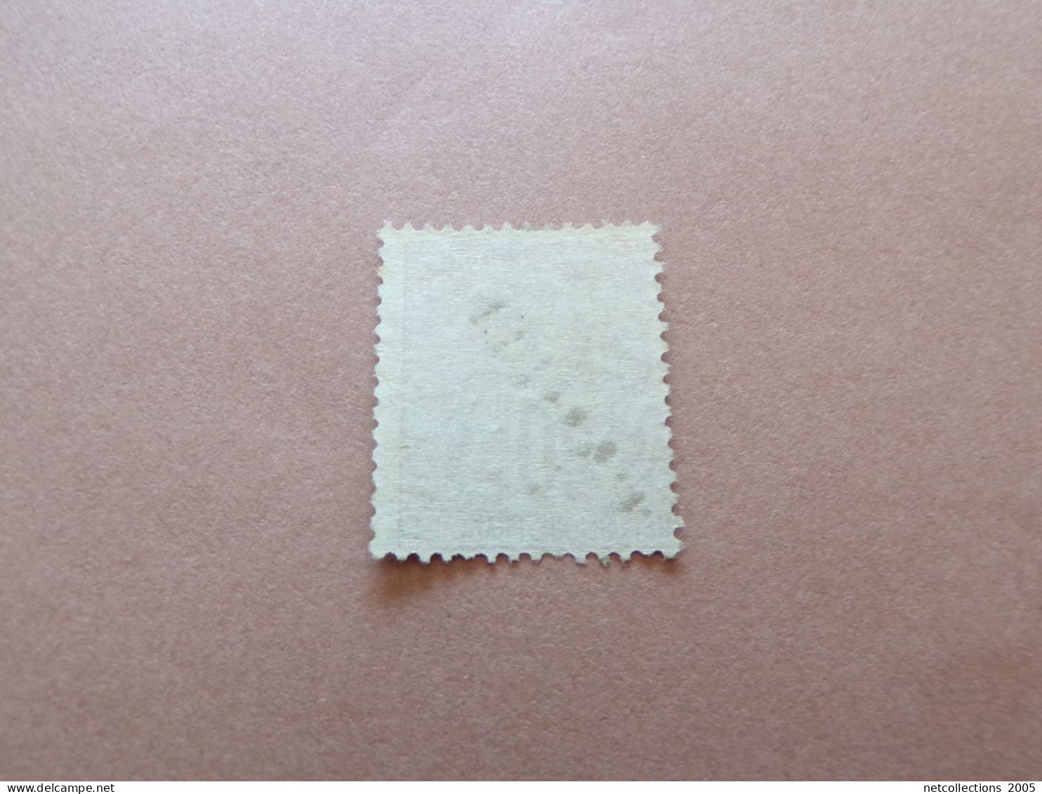 TAHITI 1893 N°13 - NEUF SANS CHARNIERE (Pochette Roses) - Unused Stamps