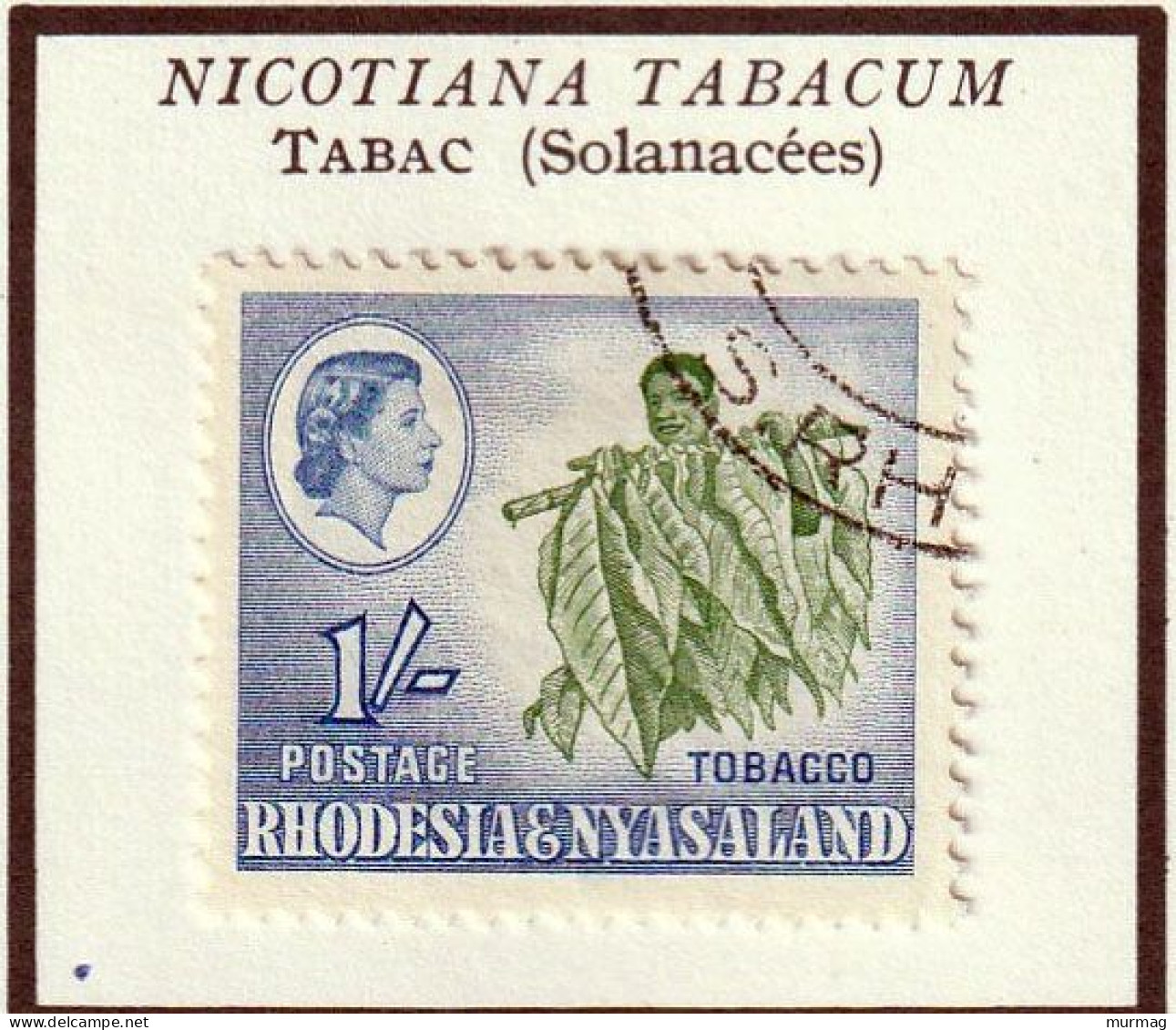 RHODESIE & NYASALAND - Tabac - 1963 - Oblitéré - Rhodesia & Nyasaland (1954-1963)