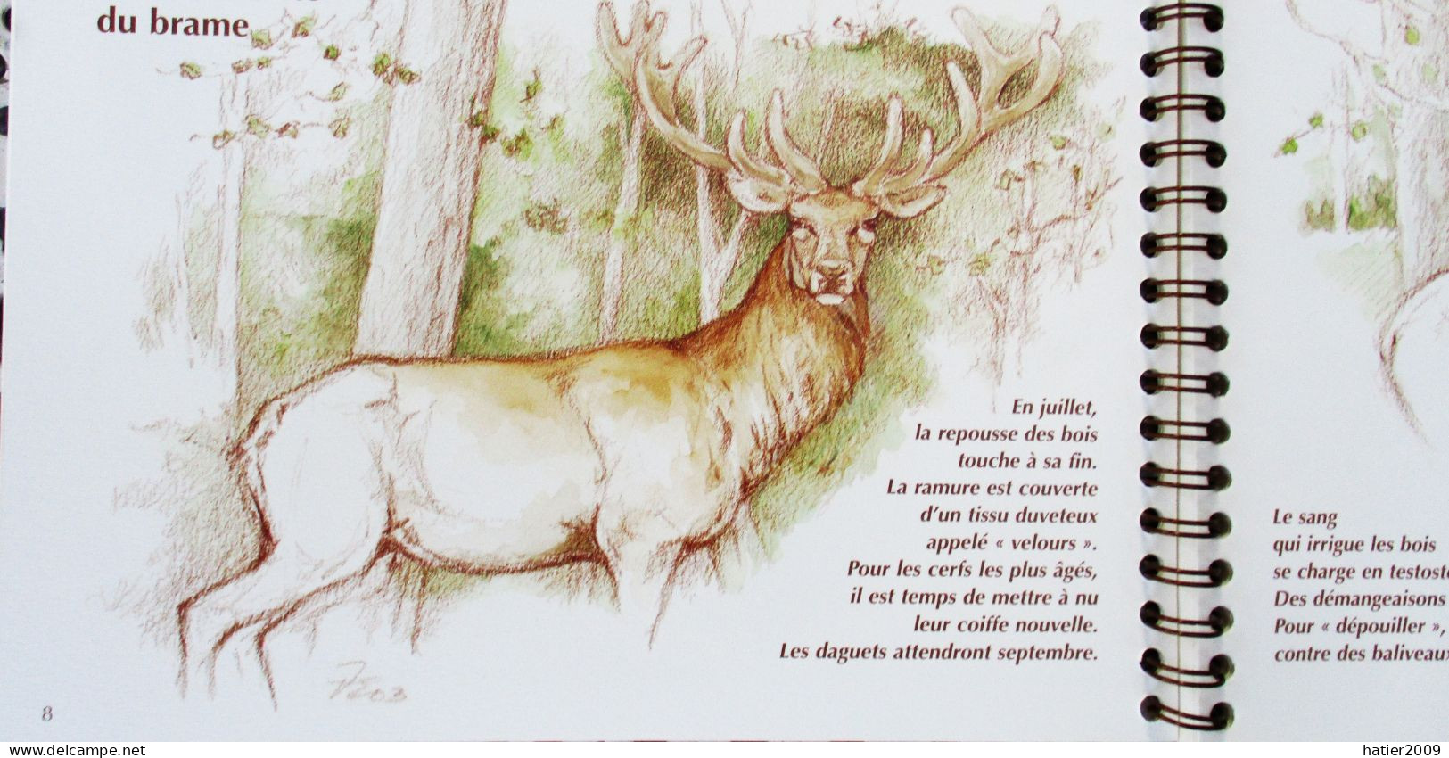 BRAME- La Conquête Du CERF De Etienne Van Den Driessche - Venerie Chasse A Courre - Jacht/vissen