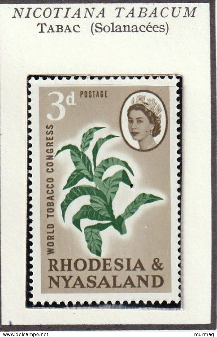 RHODESIE & NYASALAND - Congrès Mondial Sur Le Tabac - 1963 - MNH - Rhodésie & Nyasaland (1954-1963)