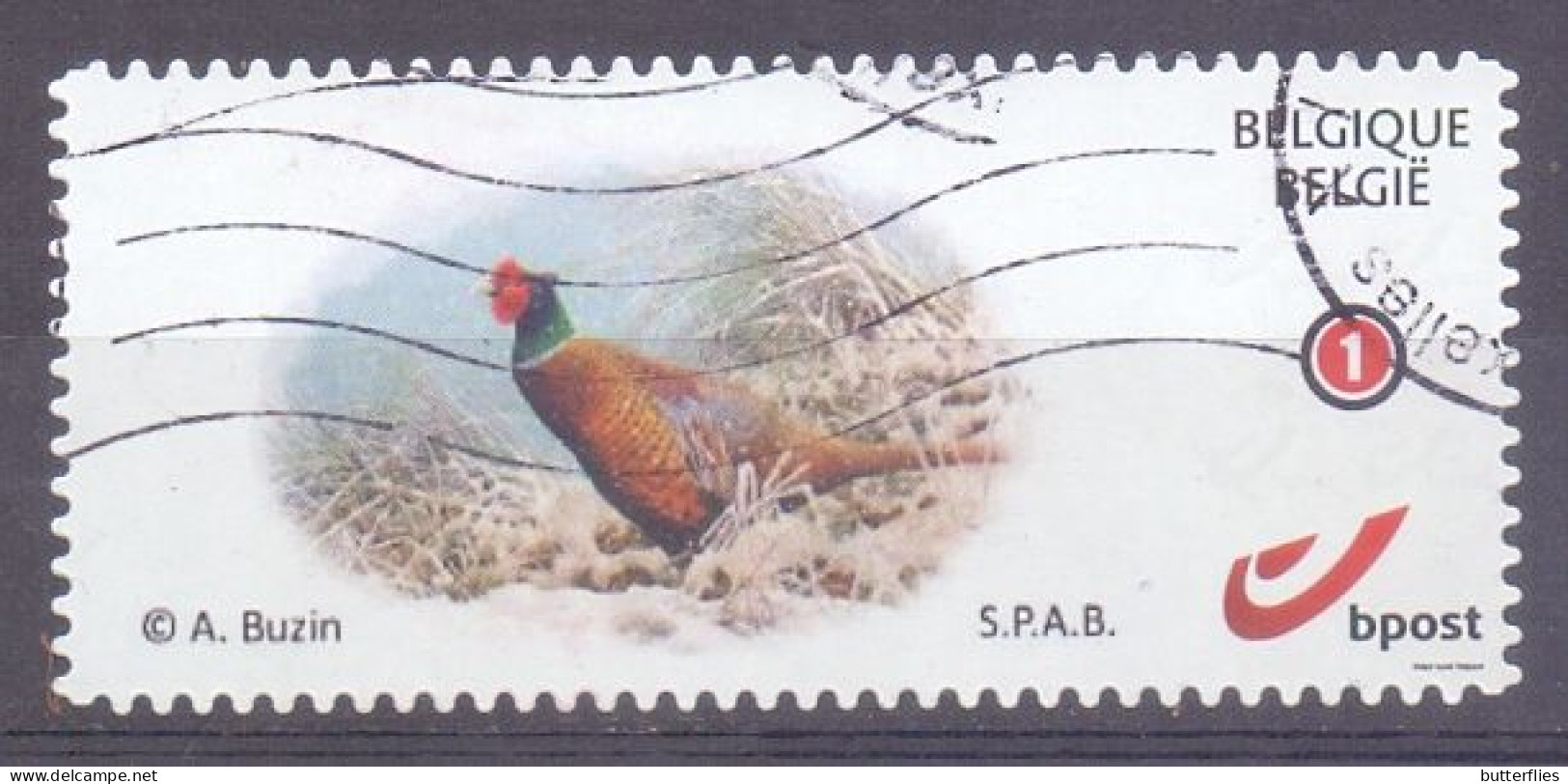 Belgie  -  Mystamp -  Fazant - A.Buzin - Used Stamps