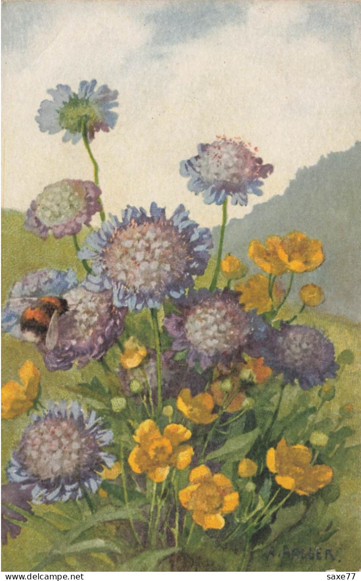 A .HALLER -   Bleuets Et Abeille - Boutons D'or - Haller, A.