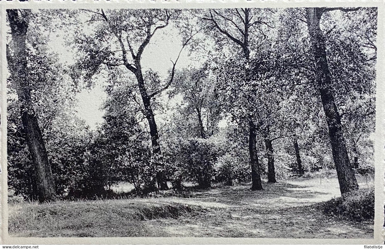 De Panne  De Westhoekduinen - De Panne