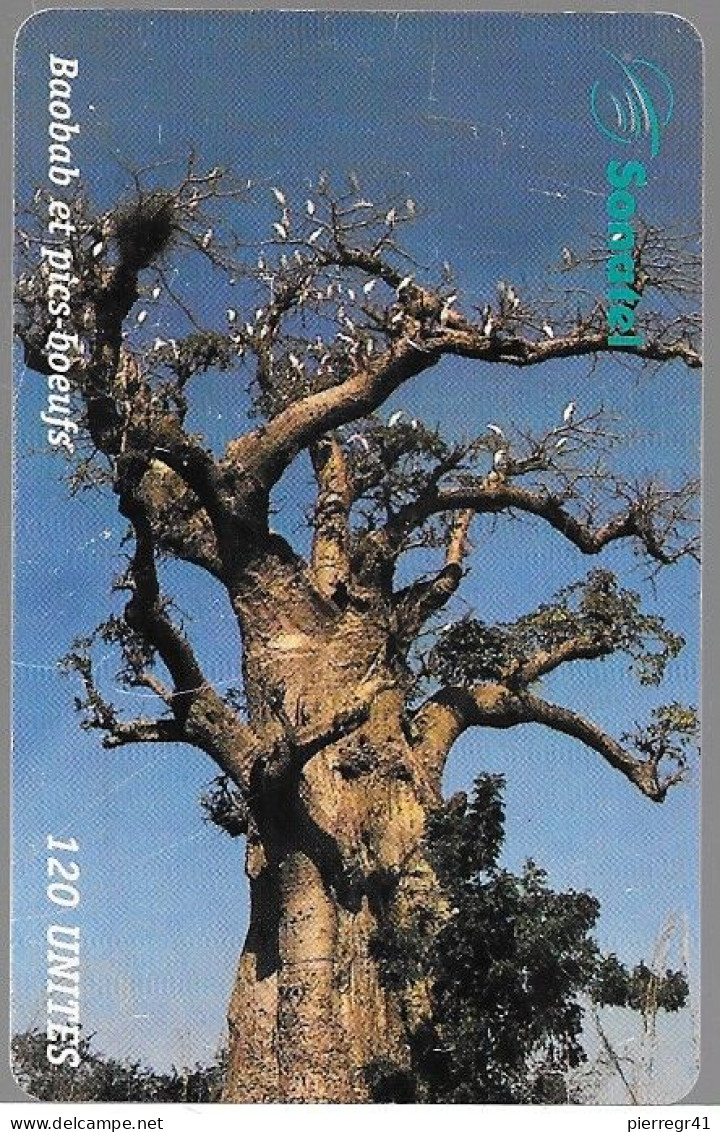 CARTE-SCHLUMBERGER-PUCE-SENEGAL-120U-SC7-SONATEL-BAOBAB Et PICS-BOEUFS-N° V°00846659-UTILISE-TBE-RARE- - Senegal