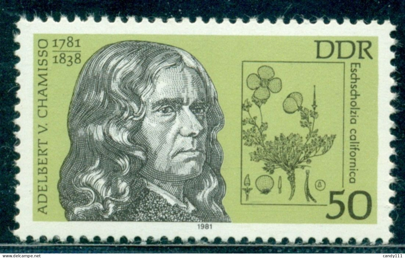 1981 Adelbert Von Chamisso,poet,botanist,California Poppy Flower,DDR,2607,MNH - Karl Marx