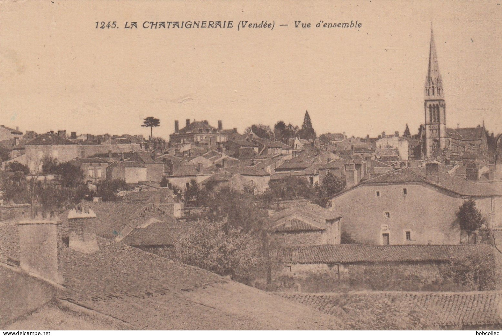 LA CHATAIGNERAIE (Vendée): Vue D'ensemble - La Chataigneraie