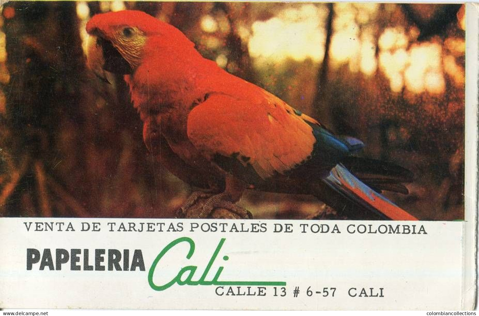 Lote PEP1558, Colombia,  Postal, Postcard, Guacamaya, Cali, Macaw, Ara - Cartes-maximum