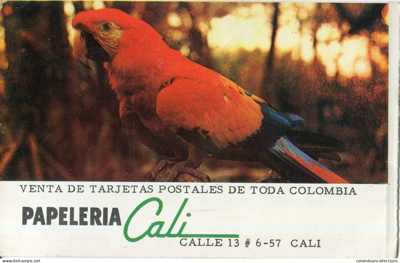 Lote PEP1558, Colombia,  Postal, Postcard, Guacamaya, Cali, Macaw, Ara - Cartoline Maximum