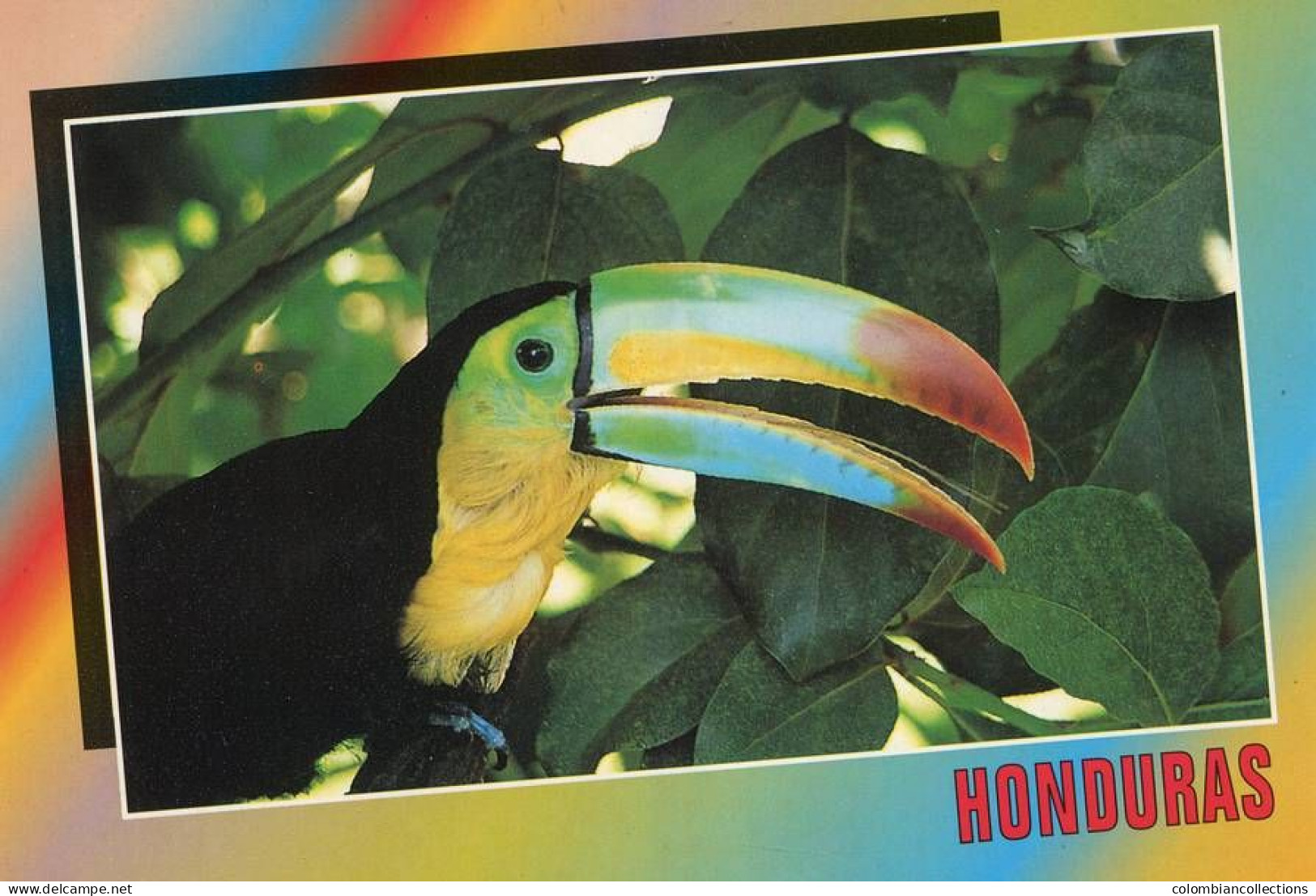 Lote PEP1563, Honduras,  Postal, Postcard, Tucan, Bird, Toucan - Honduras