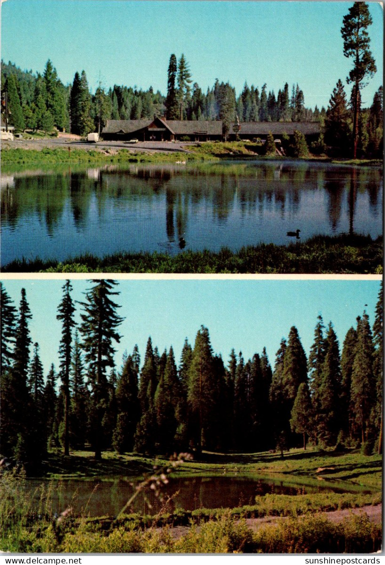 California Yosemite National Park Silvertip Lodge At The Fish Camp On Highway 41 - Yosemite