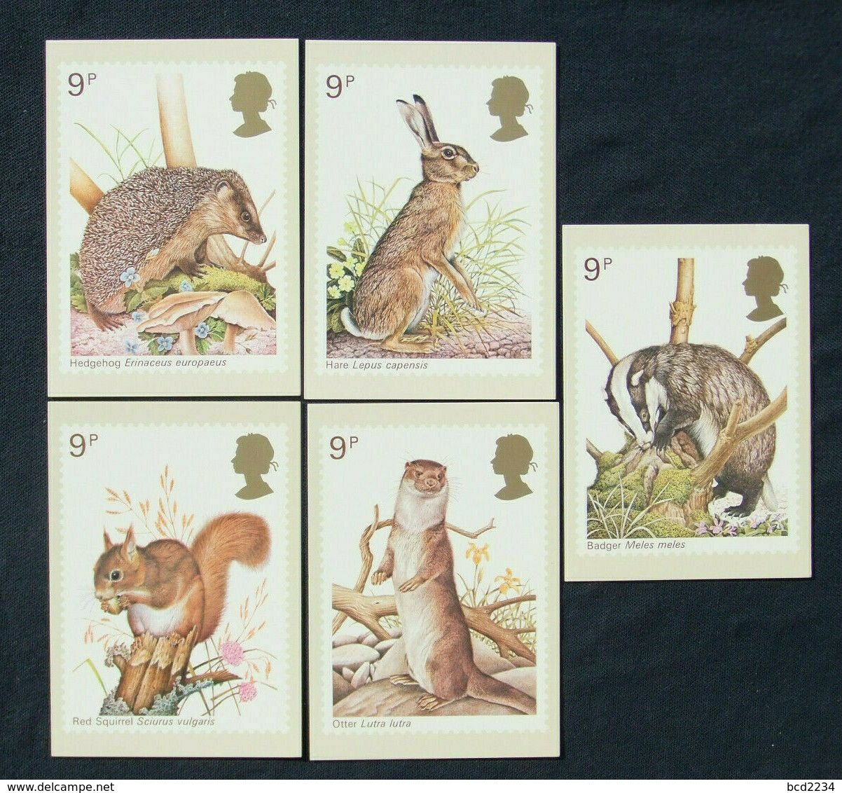 GB GREAT BRITAIN 1977 MINT PHQ CARDS BRITISH WILDLIFE ANIMALS NO. 25 HEDGEHOG BROWN HARE RED SQUIRREL OTTER BADGER - Lapins