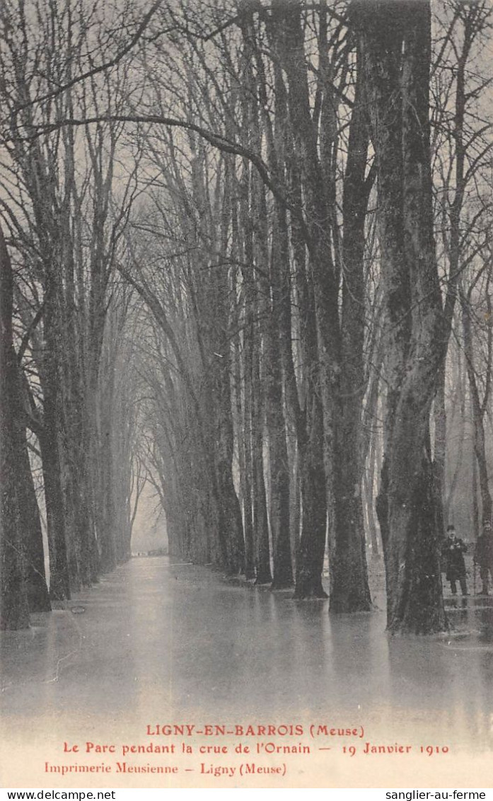 CPA 55 LIGNY EN BARROIS / LE PARC PENDANT LA CRUE DE L'ORNAIN 1910 - Autres & Non Classés