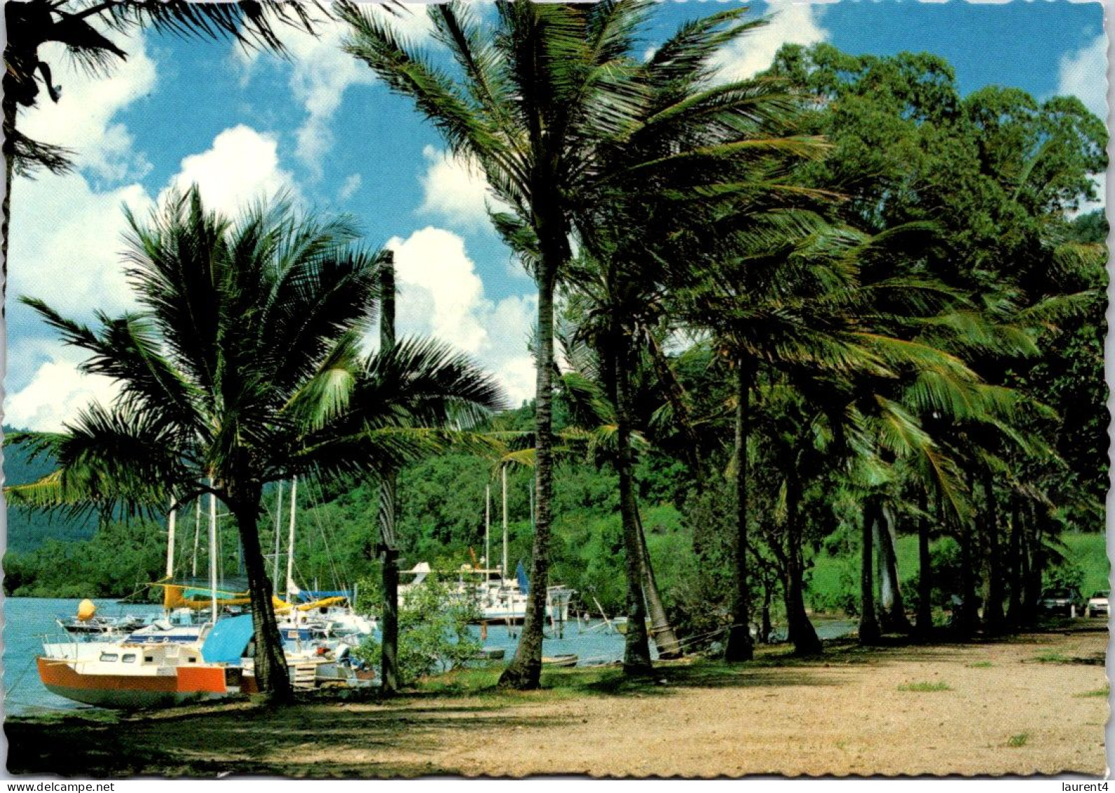 8-9-2023 (4 T 33) Australia - QLD - Airlie Beach - Far North Queensland