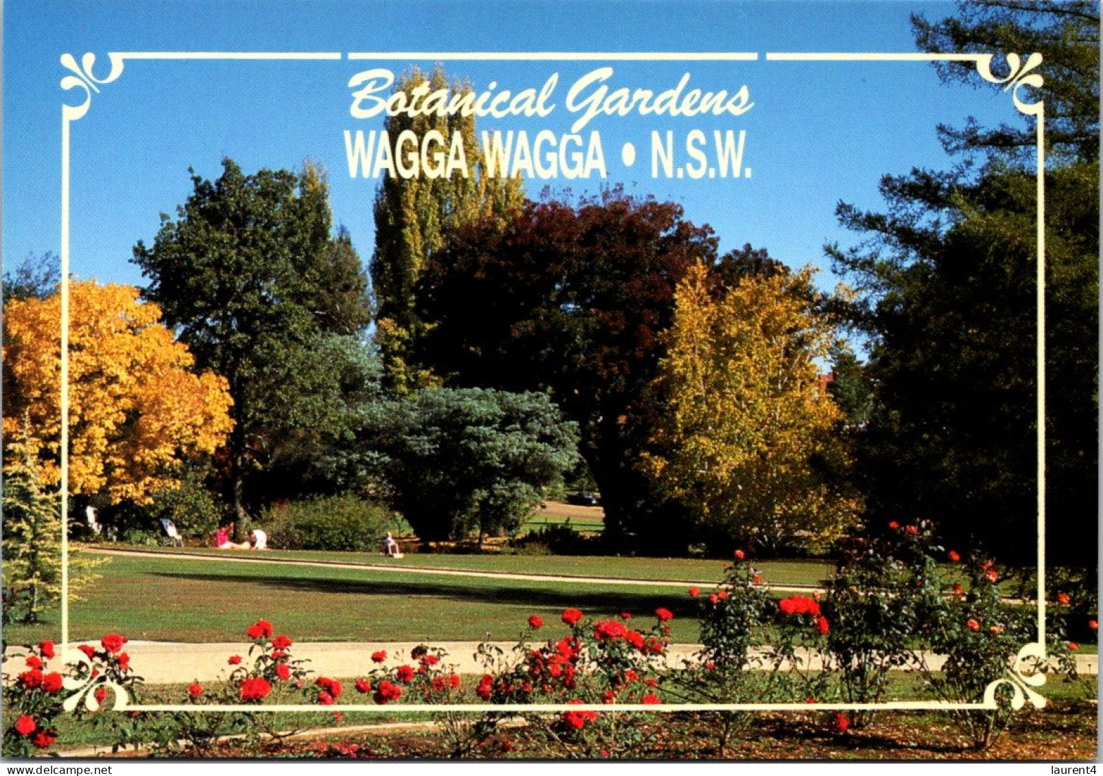 8-9-2023 (4 T 33) Australia - NSW - Wagga Wagga - Wagga Wagga