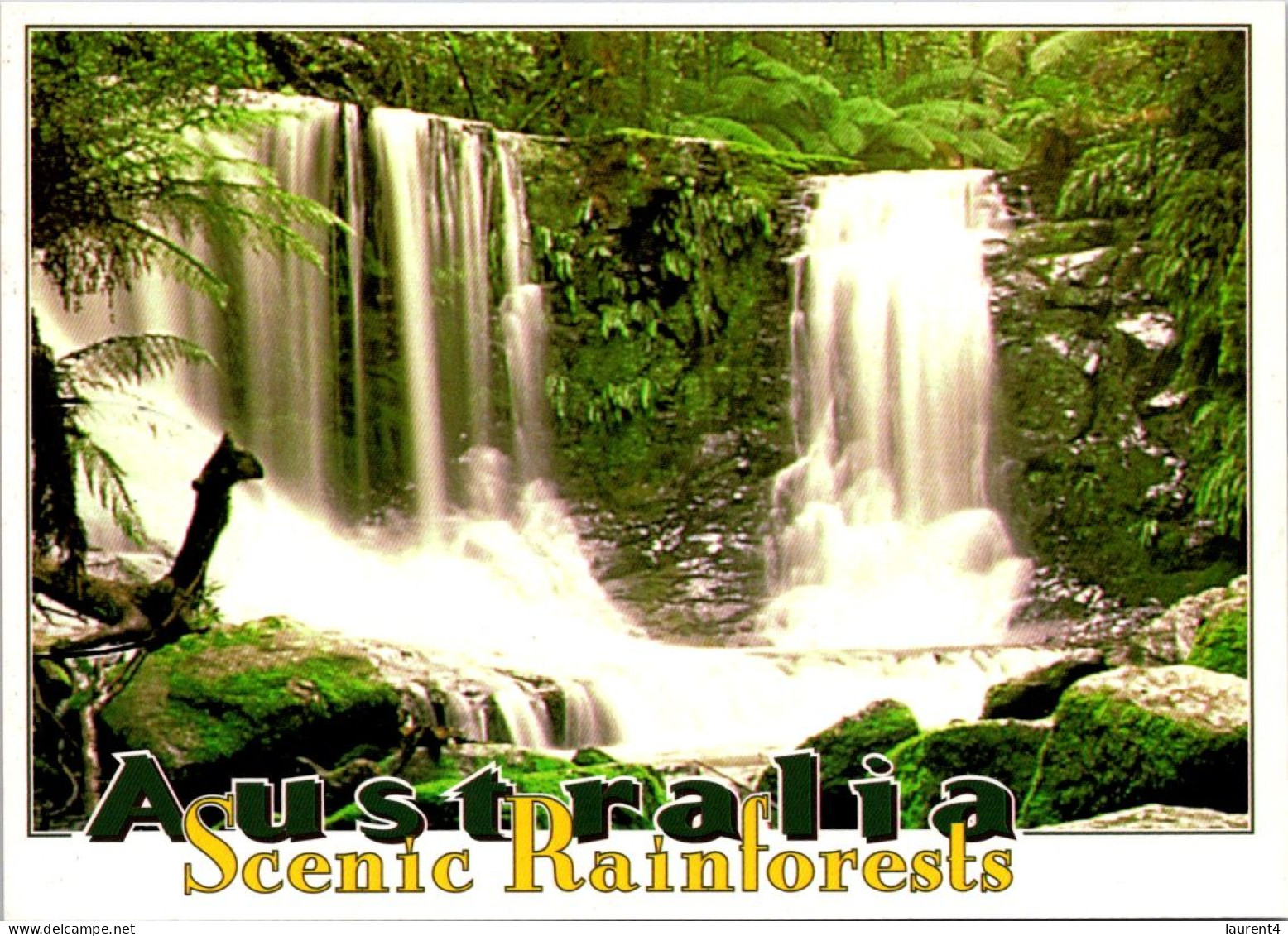 8-9-2023 (4 T 35) Australia - Rainforest Waterfall (QLD) - Far North Queensland