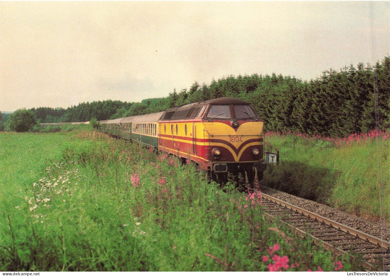 TRANSPORT - Trains - Trains Express Au Luxembourg -  Expr 1297 Amsterdam Luxembourg - Carte Postale - Trains