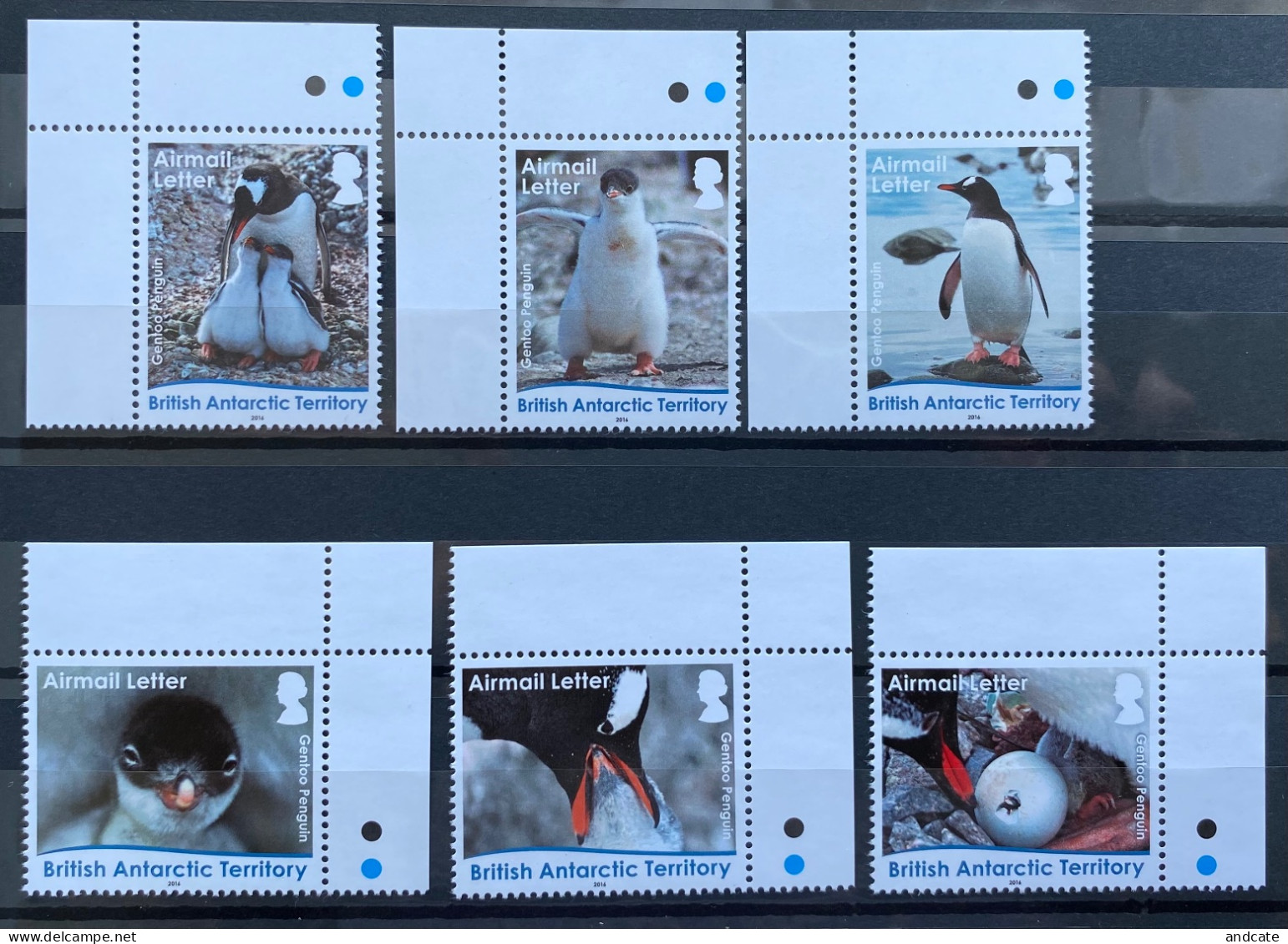 British Antarctic Territory 2016 MNH - Gentoo Letter Rate , Penguins - Ongebruikt