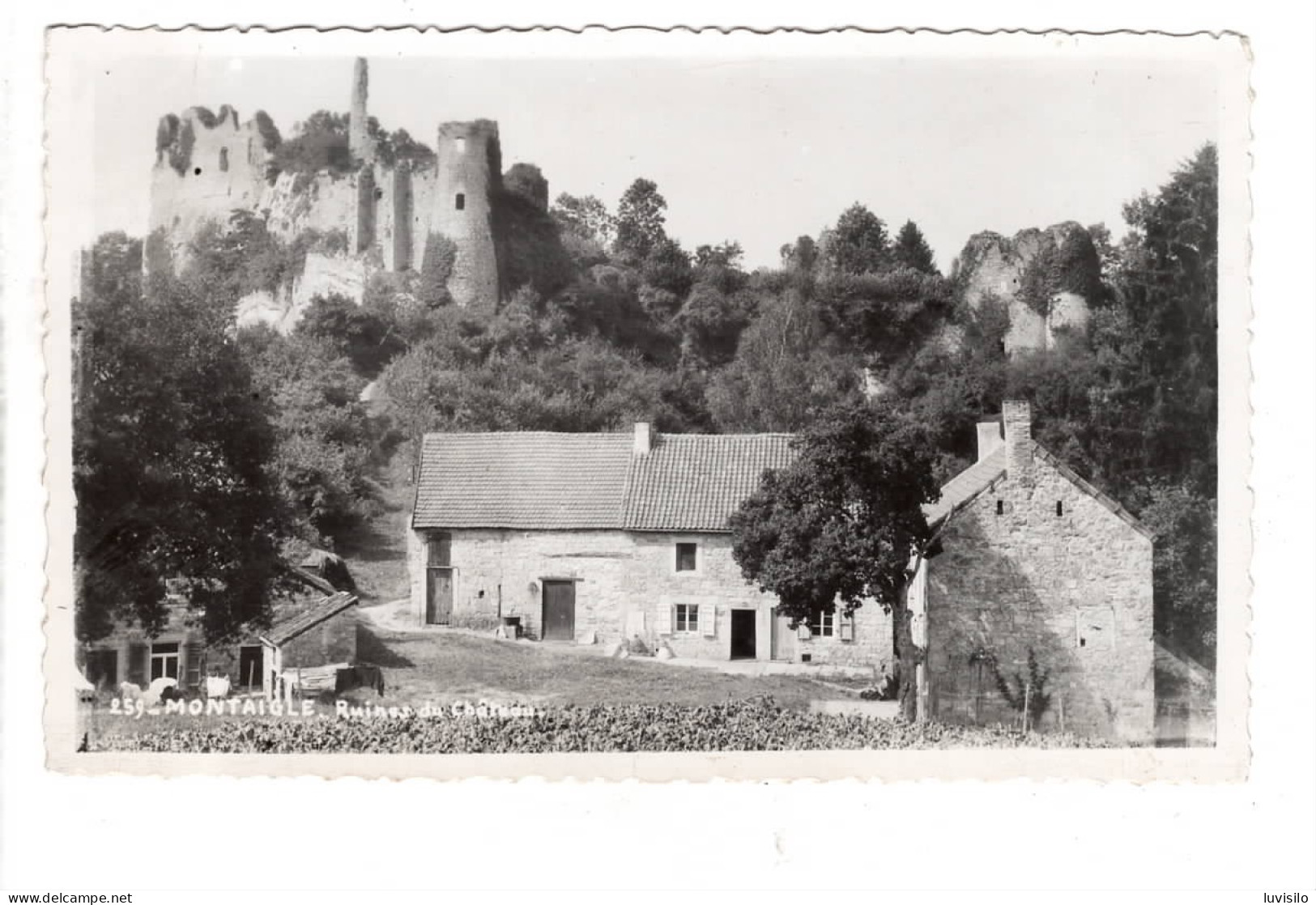 Montaigle Les Ruines Du Château ( Onhaye ) - Onhaye