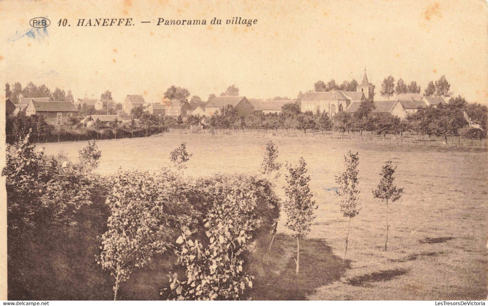 BELGIQUE - Haneffe - Panorama Du Village  -  Carte Postale Ancienne - Waremme