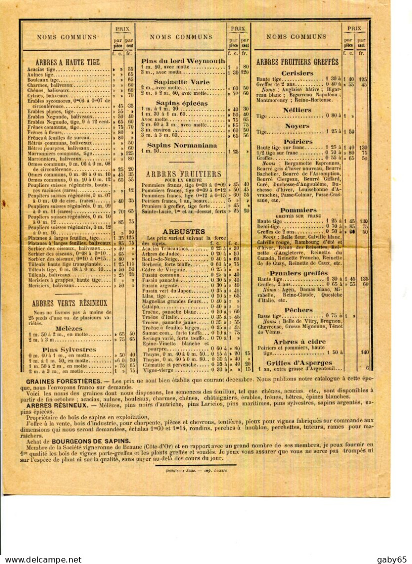 FACTURE.21.COTE D'OR.LAIGNES.PEPINIERES DE JEUNES PLANTS POUR REBOISEMENT.F.BOUQUINAT PEPINERISTE-SYLVICUTEUR.TARIF 1896 - Agricoltura