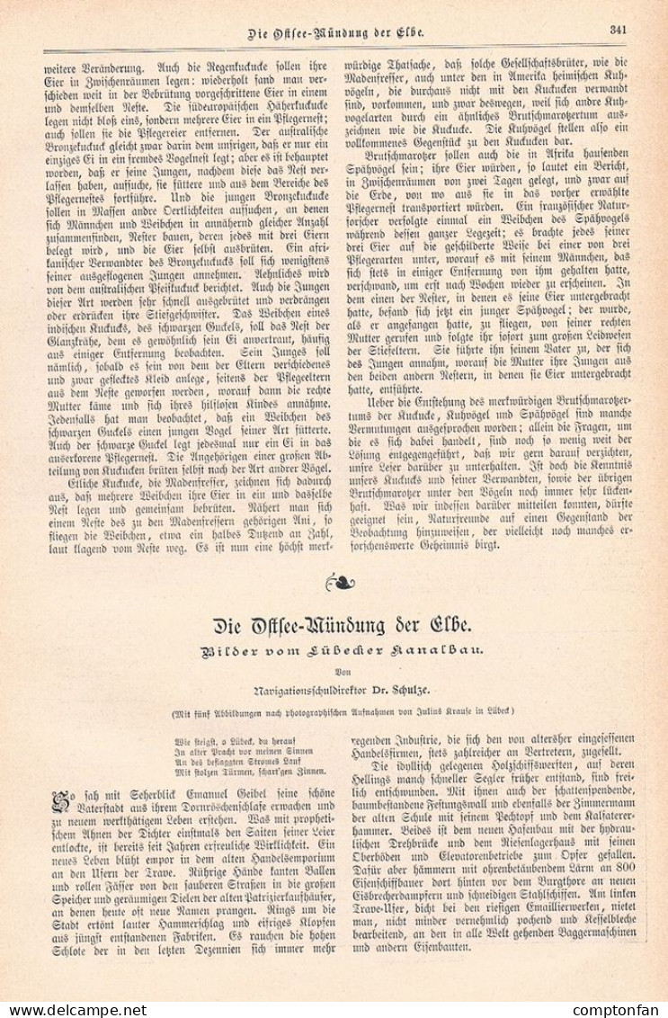 A102 1421 Hansestadt Lübeck Kanalbau Elbe-Lübeck-Kanal Artikel / Bilder 1899 - Otros & Sin Clasificación