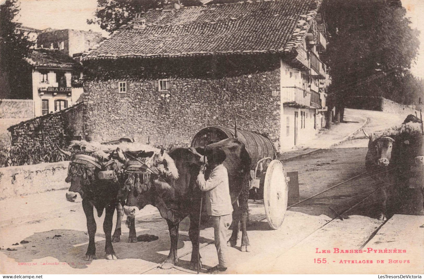 AGRICULTURE -  Attelages De Boeufs - Carte Postale Ancienne - Wagengespanne